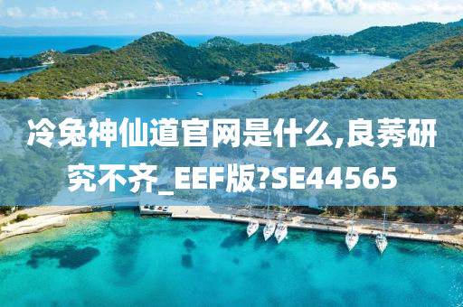 冷兔神仙道官网是什么,良莠研究不齐_EEF版?SE44565