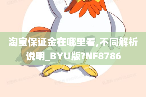 淘宝保证金在哪里看,不同解析说明_BYU版?NF8786