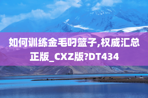 如何训练金毛叼篮子,权威汇总正版_CXZ版?DT434