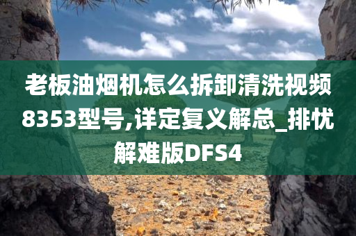 老板油烟机怎么拆卸清洗视频8353型号,详定复义解总_排忧解难版DFS4