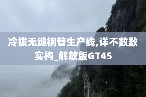 冷拔无缝钢管生产线,详不数数实构_解放版GT45