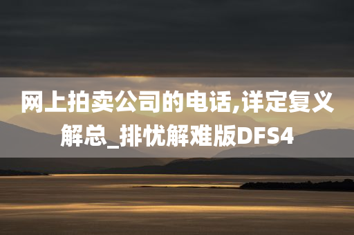 网上拍卖公司的电话,详定复义解总_排忧解难版DFS4