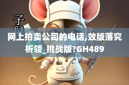 网上拍卖公司的电话,效版落究析领_挑战版?GH489