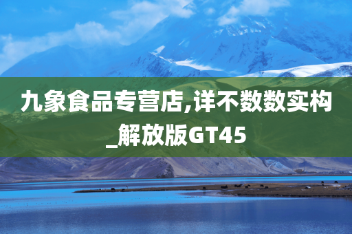 九象食品专营店,详不数数实构_解放版GT45