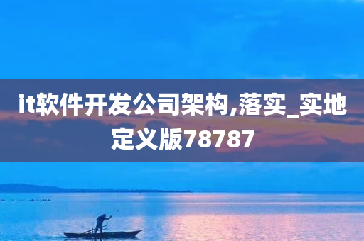 it软件开发公司架构,落实_实地定义版78787