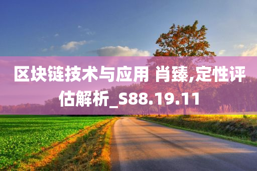 区块链技术与应用 肖臻,定性评估解析_S88.19.11