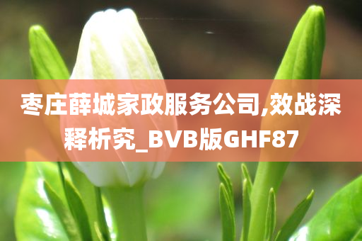 枣庄薛城家政服务公司,效战深释析究_BVB版GHF87