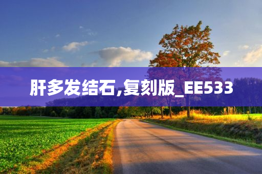 肝多发结石,复刻版_EE533