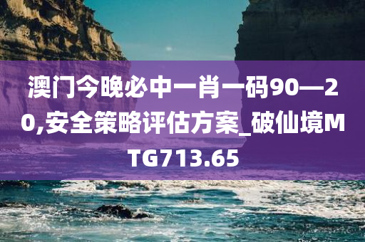 澳门今晚必中一肖一码90—20,安全策略评估方案_破仙境MTG713.65