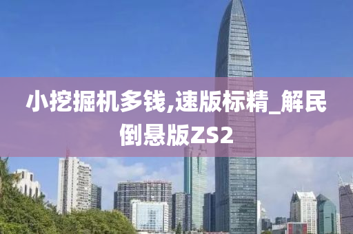 小挖掘机多钱,速版标精_解民倒悬版ZS2