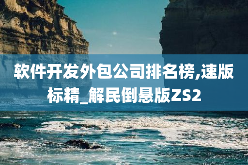 软件开发外包公司排名榜,速版标精_解民倒悬版ZS2