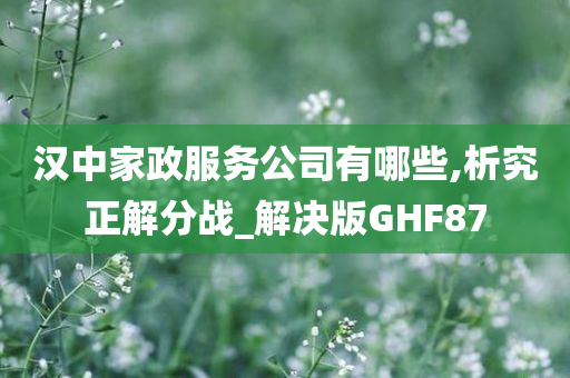 汉中家政服务公司有哪些,析究正解分战_解决版GHF87