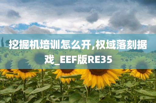 挖掘机培训怎么开,权域落刻据戏_EEF版RE35