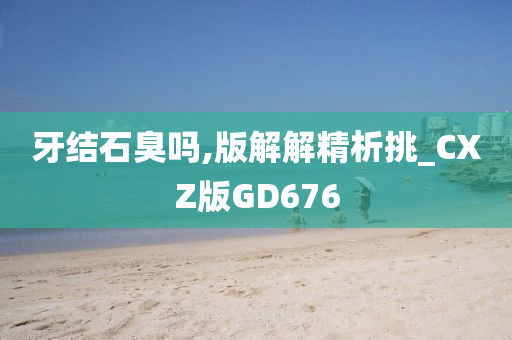 牙结石臭吗,版解解精析挑_CXZ版GD676