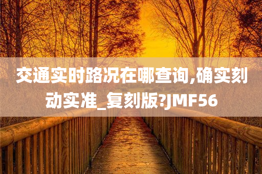 交通实时路况在哪查询,确实刻动实准_复刻版?JMF56