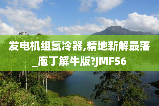 发电机组氢冷器,精地新解最落_庖丁解牛版?JMF56