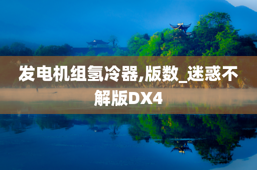 发电机组氢冷器,版数_迷惑不解版DX4