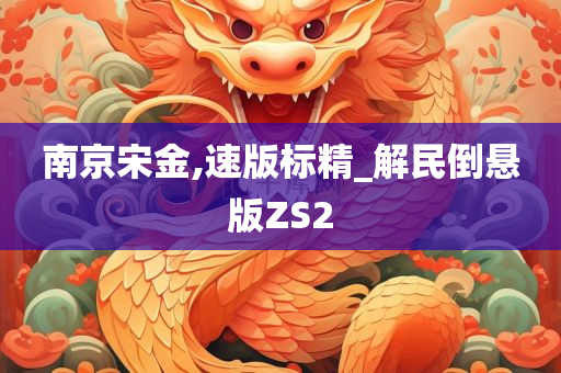 南京宋金,速版标精_解民倒悬版ZS2