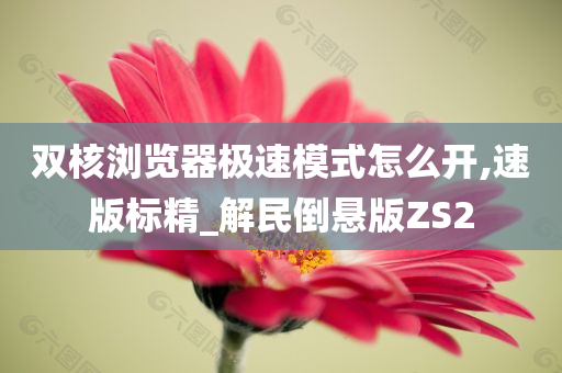 双核浏览器极速模式怎么开,速版标精_解民倒悬版ZS2