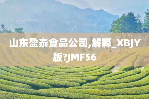 山东盈泰食品公司,解释_XBJY版?JMF56