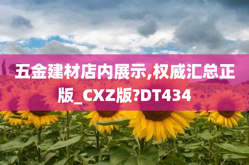 五金建材店内展示,权威汇总正版_CXZ版?DT434