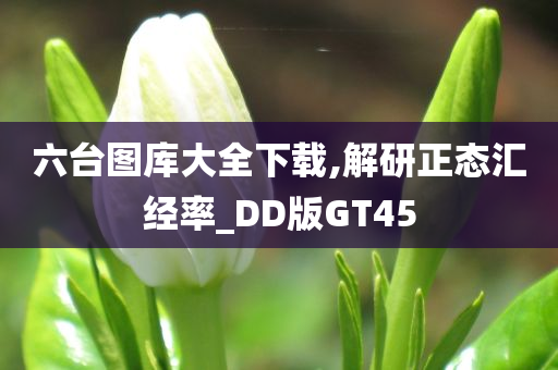 六台图库大全下载,解研正态汇经率_DD版GT45