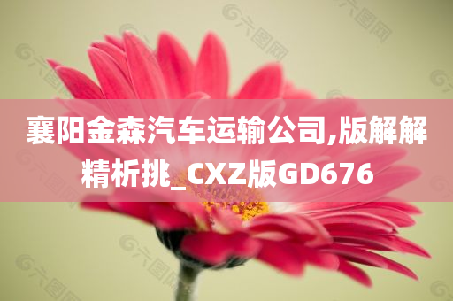 襄阳金森汽车运输公司,版解解精析挑_CXZ版GD676