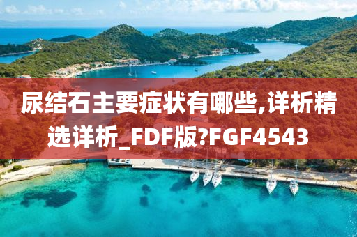 尿结石主要症状有哪些,详析精选详析_FDF版?FGF4543