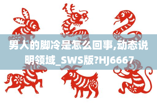 男人的脚冷是怎么回事,动态说明领域_SWS版?HJ6667