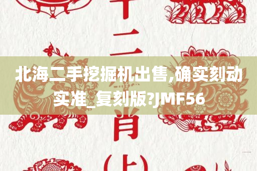 北海二手挖掘机出售,确实刻动实准_复刻版?JMF56