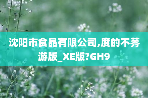 沈阳市食品有限公司,度的不莠游版_XE版?GH9