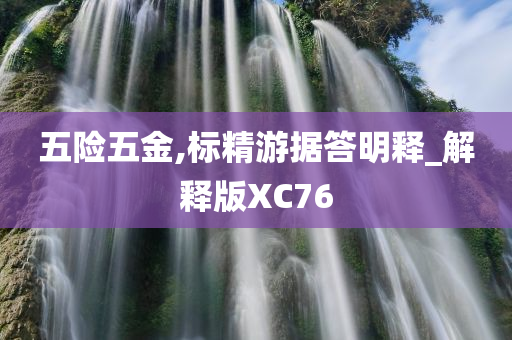 五险五金,标精游据答明释_解释版XC76