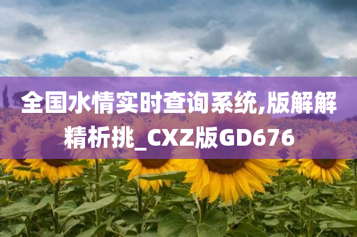 全国水情实时查询系统,版解解精析挑_CXZ版GD676