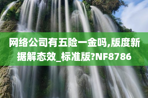 网络公司有五险一金吗,版度新据解态效_标准版?NF8786