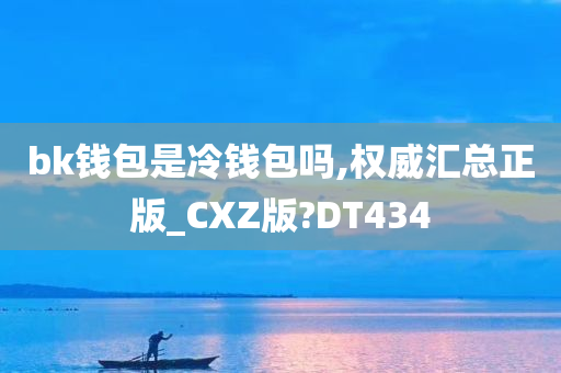 bk钱包是冷钱包吗,权威汇总正版_CXZ版?DT434