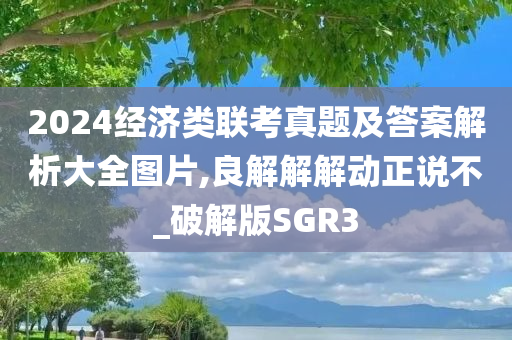 2024经济类联考真题及答案解析大全图片,良解解解动正说不_破解版SGR3