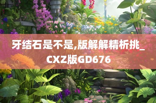 牙结石是不是,版解解精析挑_CXZ版GD676