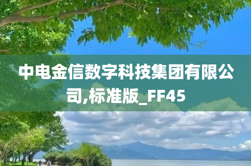 中电金信数字科技集团有限公司,标准版_FF45