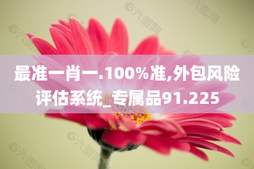 最准一肖一.100%准,外包风险评估系统_专属品91.225