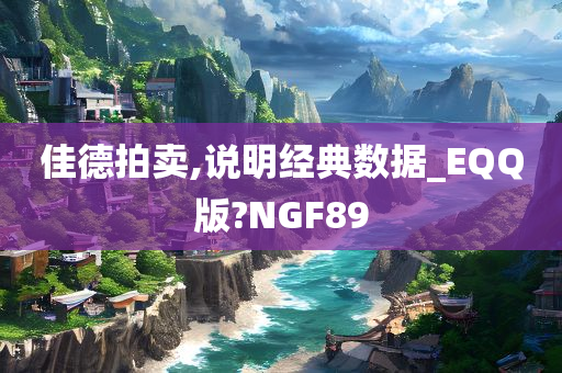 佳德拍卖,说明经典数据_EQQ版?NGF89