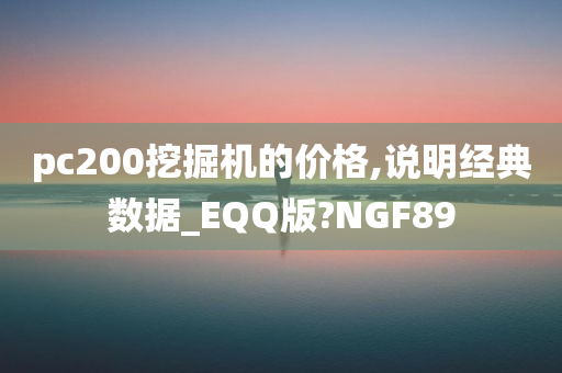 pc200挖掘机的价格,说明经典数据_EQQ版?NGF89