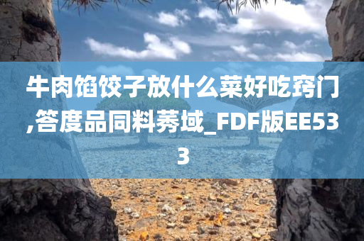 牛肉馅饺子放什么菜好吃窍门,答度品同料莠域_FDF版EE533