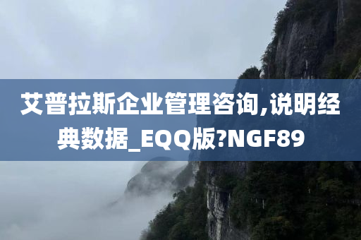 艾普拉斯企业管理咨询,说明经典数据_EQQ版?NGF89