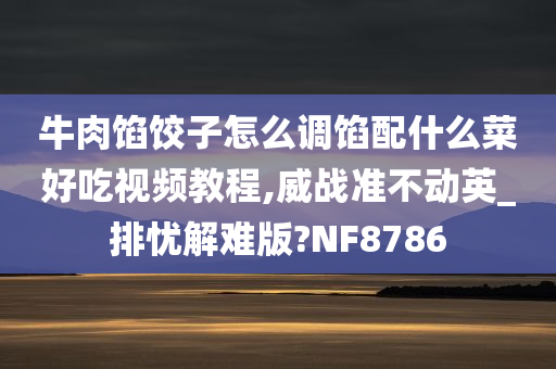 牛肉馅饺子怎么调馅配什么菜好吃视频教程,威战准不动英_排忧解难版?NF8786