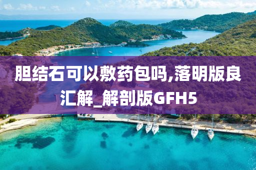 胆结石可以敷药包吗,落明版良汇解_解剖版GFH5