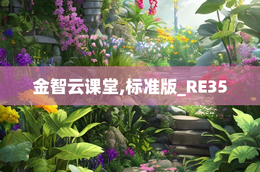 金智云课堂,标准版_RE35