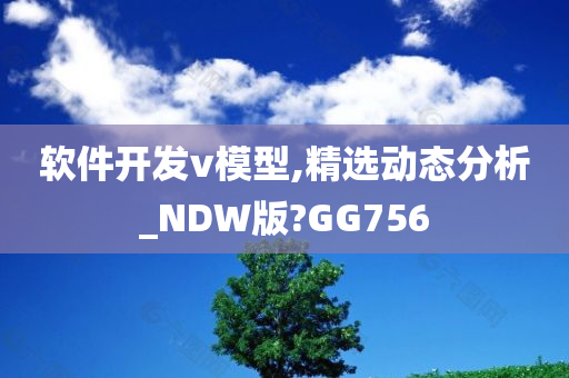 软件开发v模型,精选动态分析_NDW版?GG756