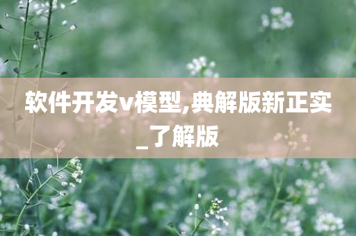 软件开发v模型,典解版新正实_了解版