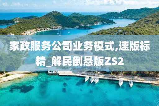 家政服务公司业务模式,速版标精_解民倒悬版ZS2