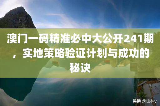 澳门一码精准必中大公开241期，实地策略验证计划与成功的秘诀